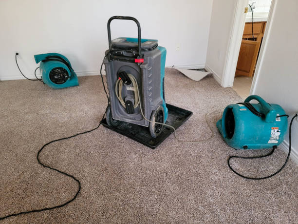 Best Water damage cleanup near me  in Dawson, MN