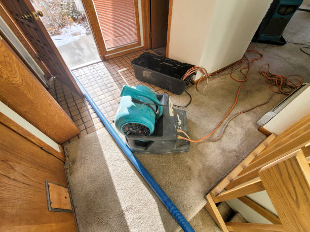 Best Sewage cleanup and water damage restoration  in Dawson, MN