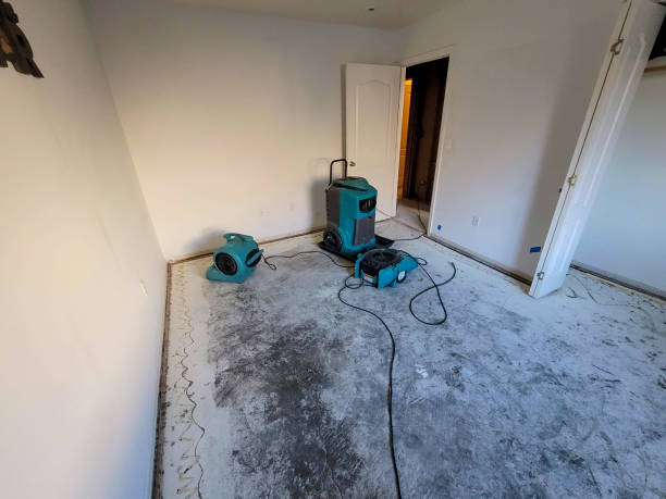 Professional Water damage restoration in Dawson, MN