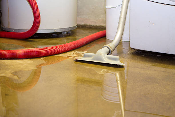 Trusted Dawson, MN Water damage restoration Experts