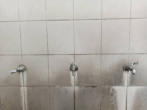 Best Water damage repair service  in Dawson, MN