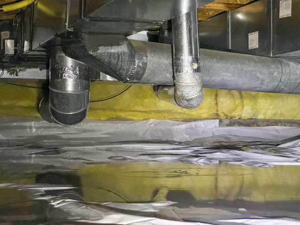 Best Local water damage restoration  in Dawson, MN