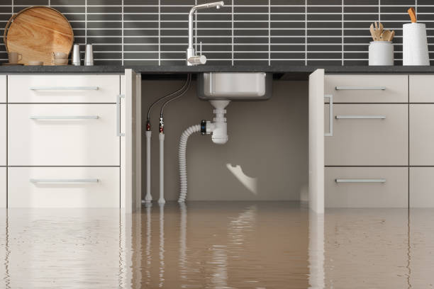 Best Water damage restoration services  in Dawson, MN