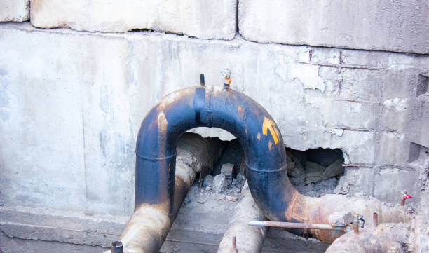 Best Water damage contractors near me  in Dawson, MN