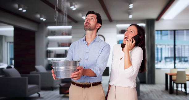 Best Basement water damage restoration  in Dawson, MN